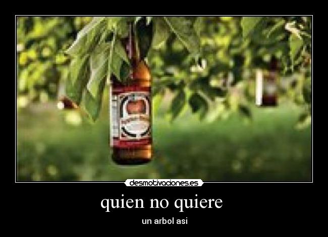 quien no quiere -
