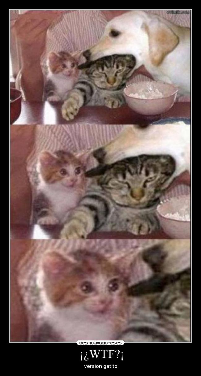 ¡¿WTF?¡ -