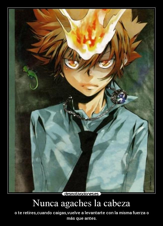 Nunca agaches la cabeza - o te retires,cuando caigas,vuelve a levantarte con la misma fuerza o más que antes.