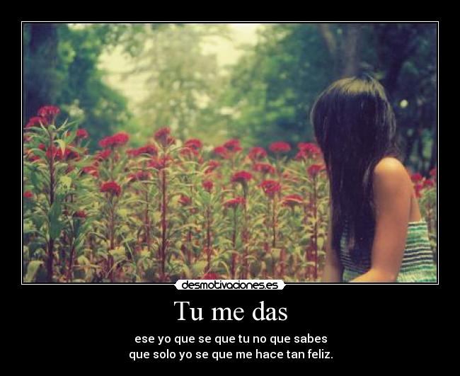 Tu me das - 