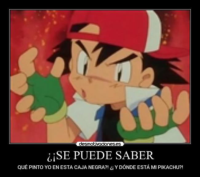 ¿¡SE PUEDE SABER - 