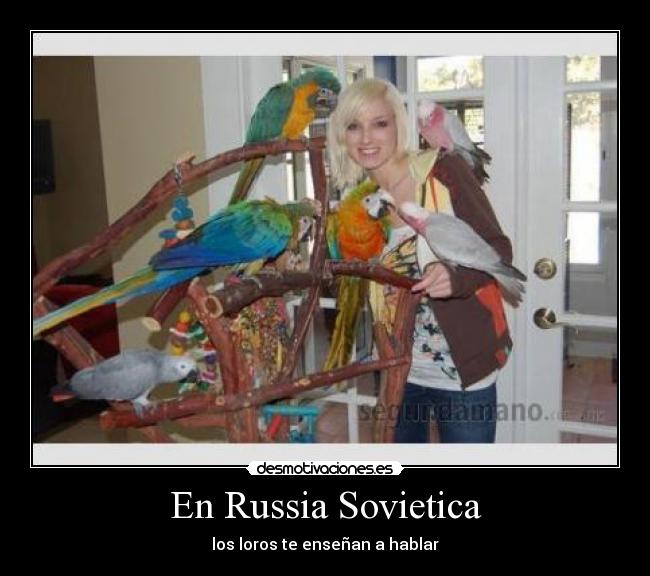 En Russia Sovietica - los loros te enseñan a hablar