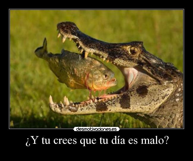 carteles crees desmotivaciones