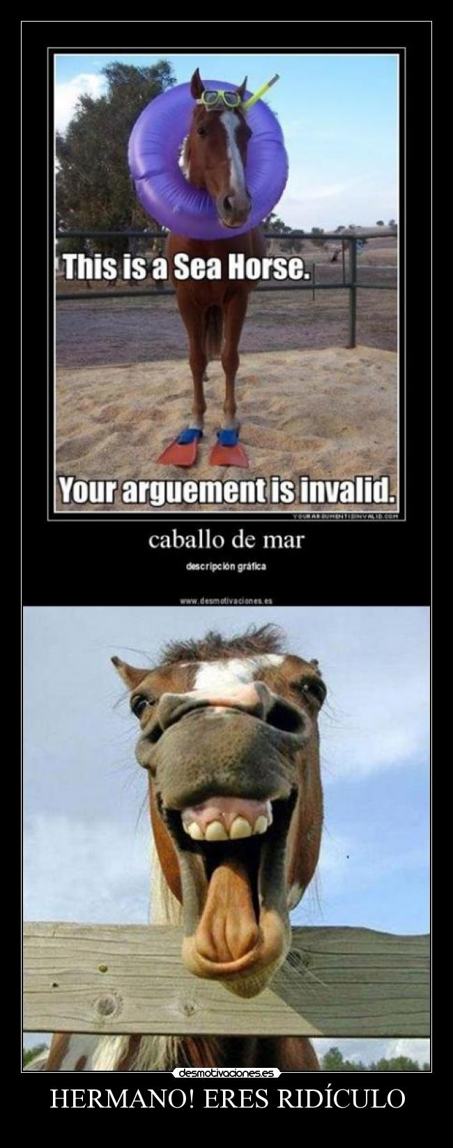 HERMANO! ERES RIDÍCULO - 