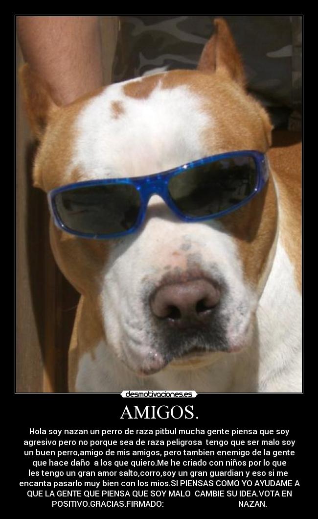 AMIGOS. -