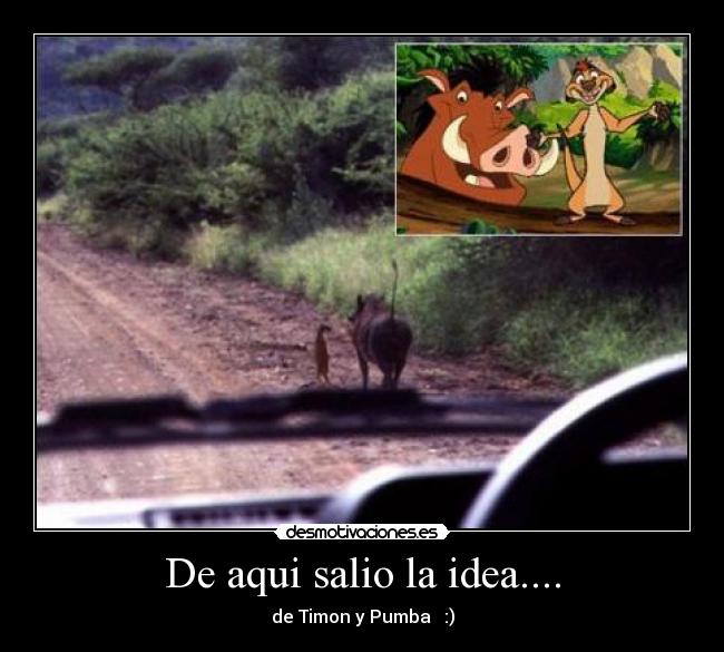 carteles disney desmotivaciones
