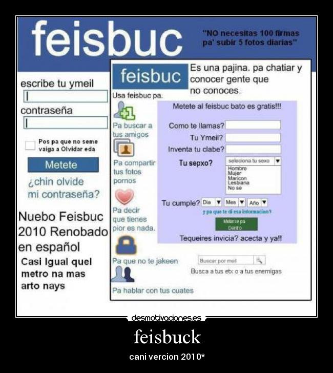 feisbuck -