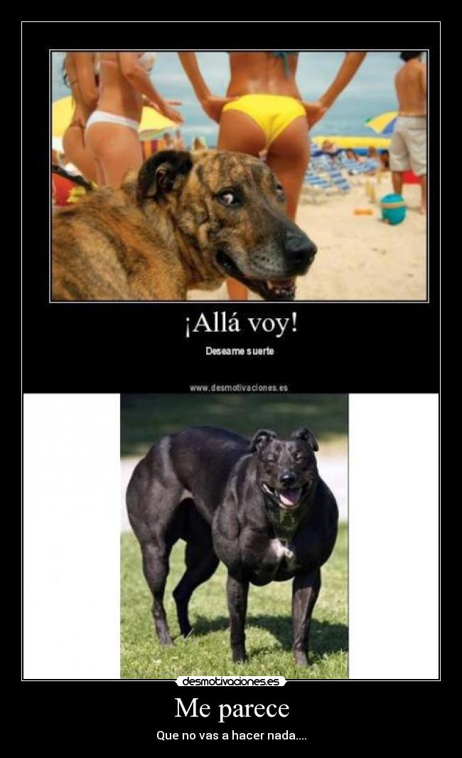 Me parece - Que no vas a hacer nada....