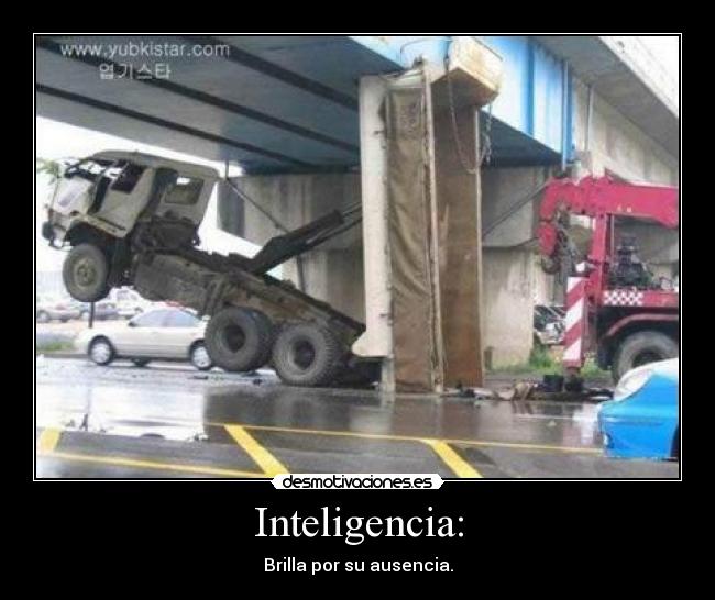 Inteligencia: - Brilla por su ausencia.