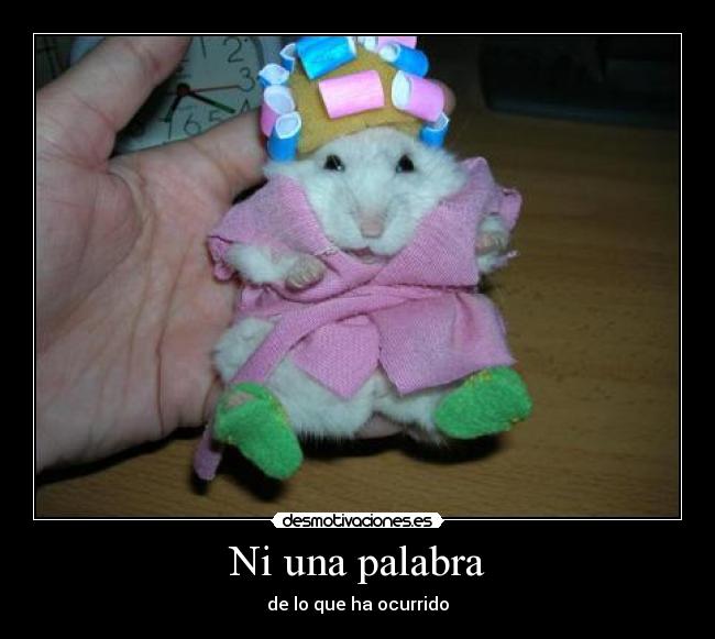 Ni una palabra - de lo que ha ocurrido