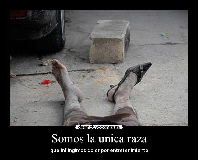 Somos la unica raza -