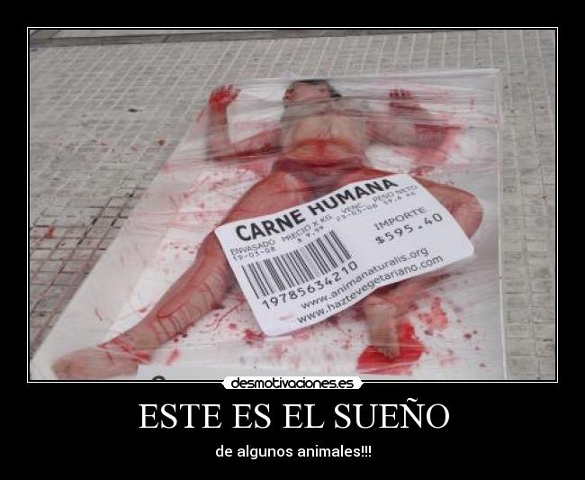 ESTE ES EL SUEÑO - 