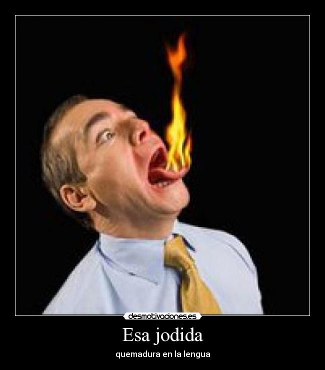 carteles lengua desmotivaciones