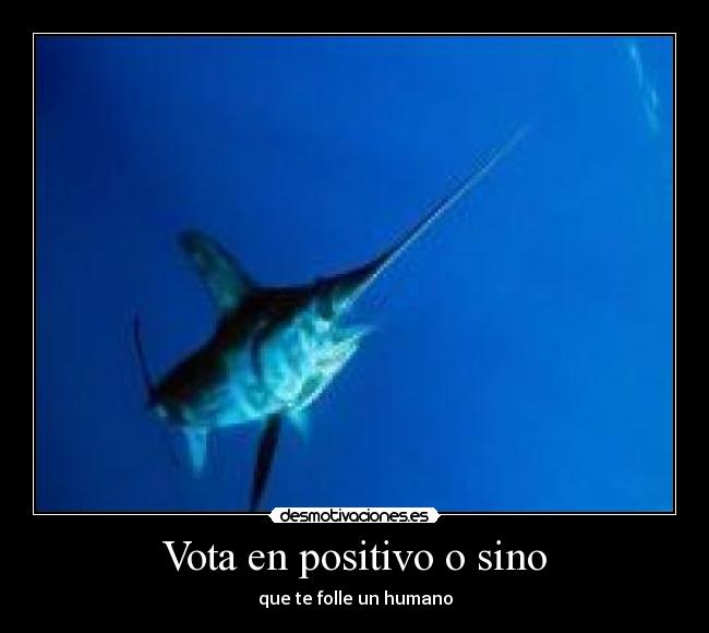 Vota en positivo o sino -