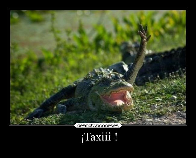 ¡Taxiii ! - 