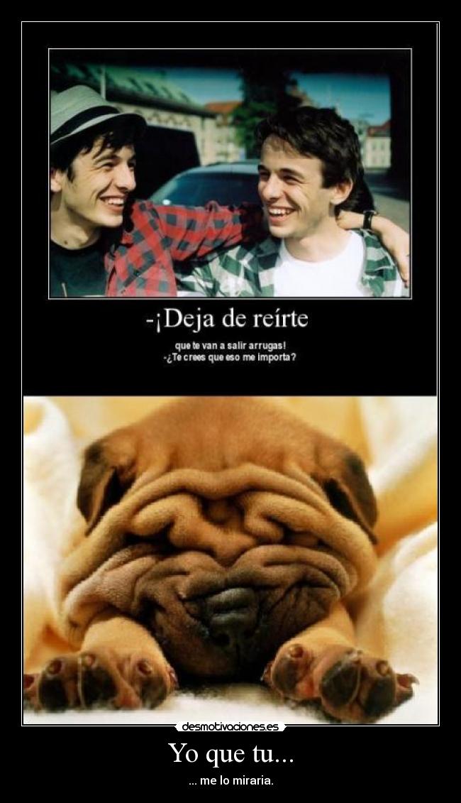Yo que tu... -
