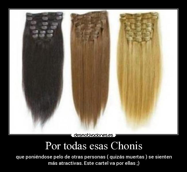 Por todas esas Chonis - que poniéndose pelo de otras personas ( quizás muertas ) se sienten
más atractivas. Este cartel va por ellas ;)