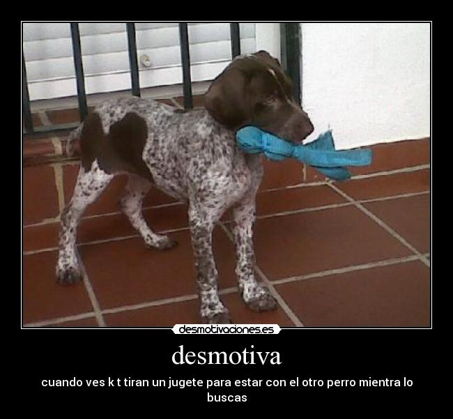 desmotiva -