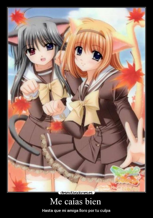 Me caías bien -
