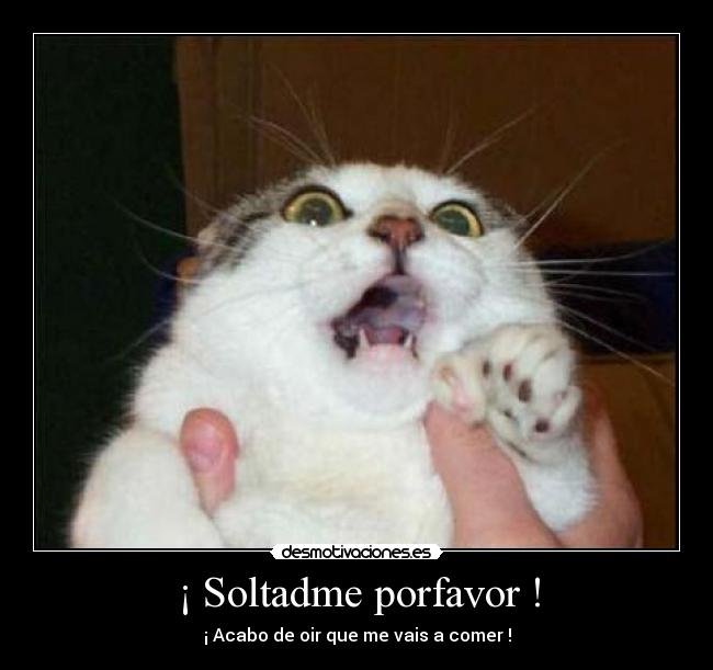 ¡ Soltadme porfavor ! - 