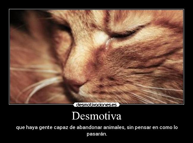 Desmotiva -