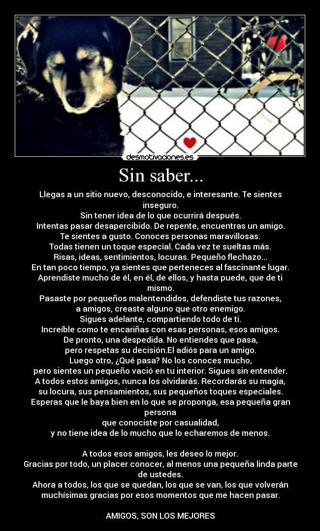 carteles sin saber bulma desmotivaciones