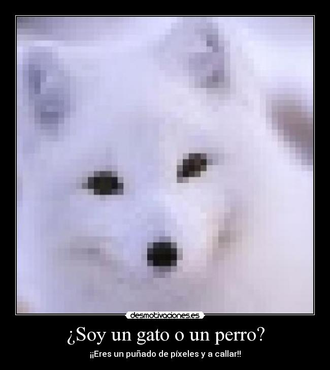 carteles anonimous caca puta desnuda desmotiva chulo friki ernestok pajaro gracioso desmotivaciones