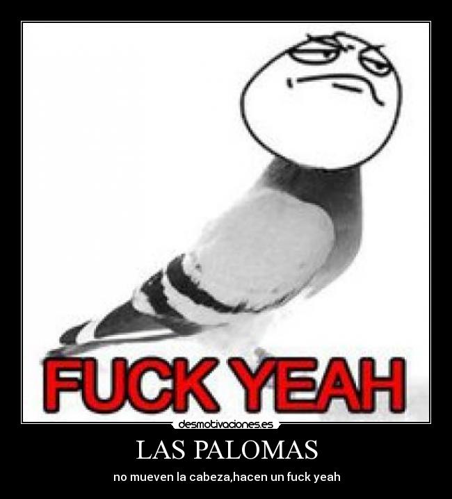 LAS PALOMAS - no mueven la cabeza,hacen un fuck yeah