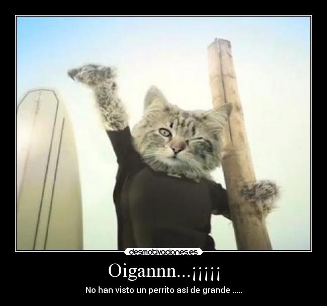 Oigannn...¡¡¡¡¡ - No han visto un perrito así de grande .....