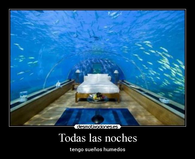 Todas las noches - tengo sueños humedos