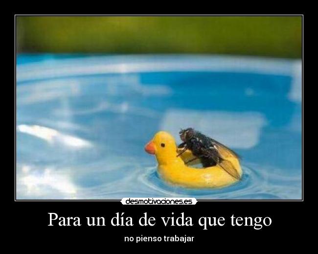 carteles vida para dia vida que tengo desmotivaciones