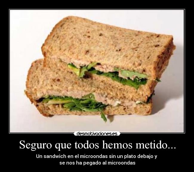 Seguro que todos hemos metido... - Un sandwich en el microondas sin un plato debajo y 
se nos ha pegado al microondas