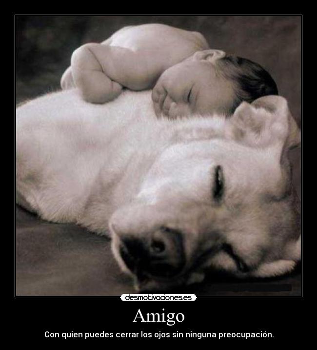 Amigo -