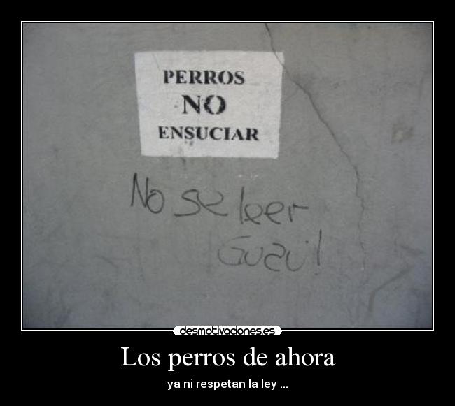 Los perros de ahora - ya ni respetan la ley ...