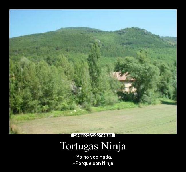 Tortugas Ninja - 