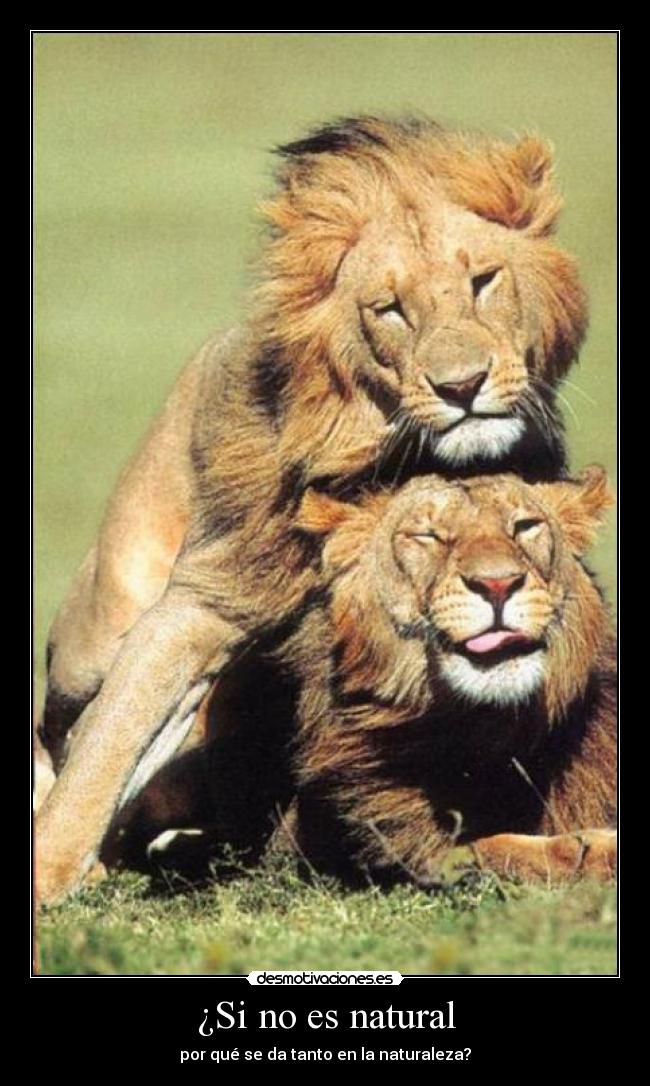 ¿Si no es natural - por qué se da tanto en la naturaleza?