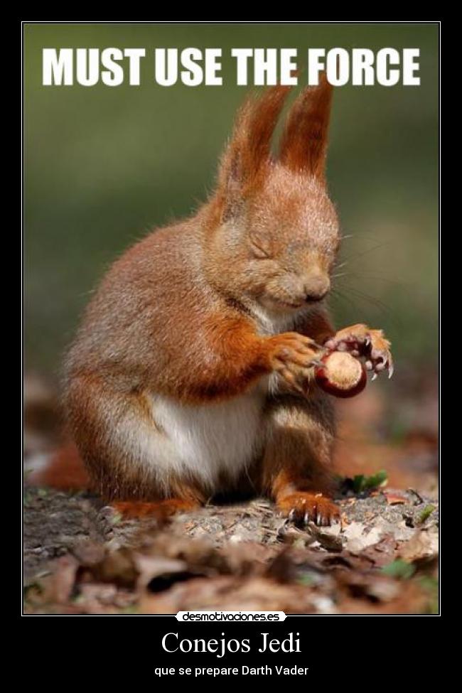 Conejos Jedi - 