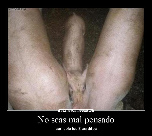 No seas mal pensado -