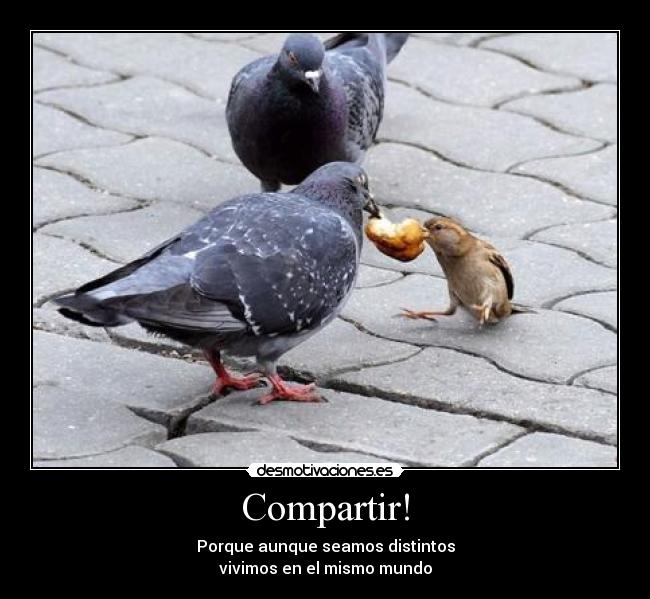 Compartir! - Porque aunque seamos distintos
vivimos en el mismo mundo