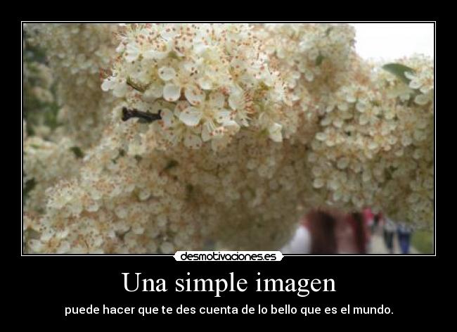 Una simple imagen - 