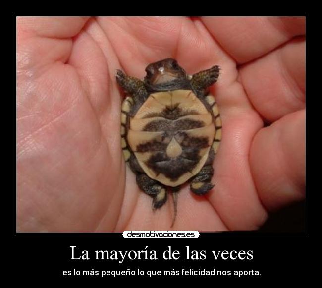 La mayoría de las veces -