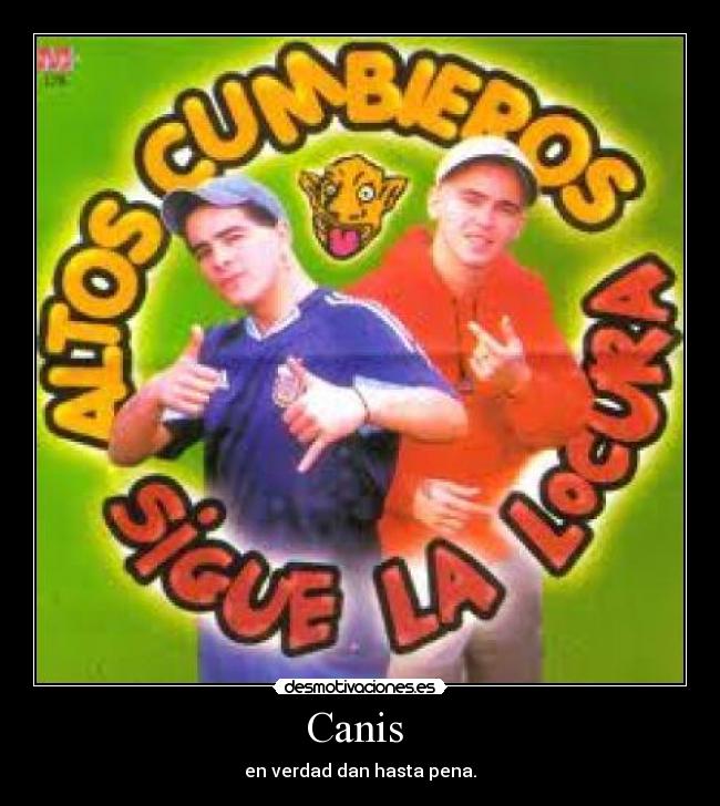 Canis - en verdad dan hasta pena.