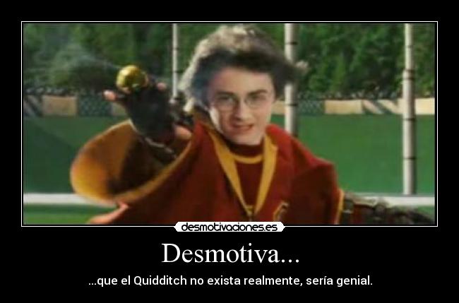Desmotiva... - ...que el Quidditch no exista realmente, sería genial.