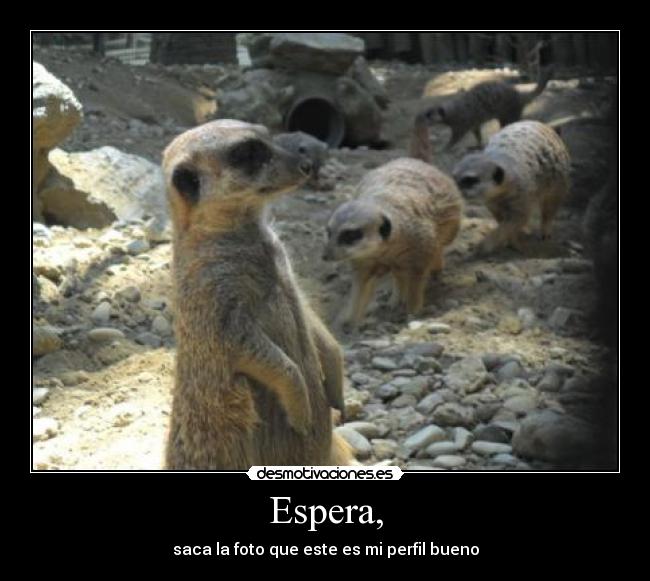 Espera, - 