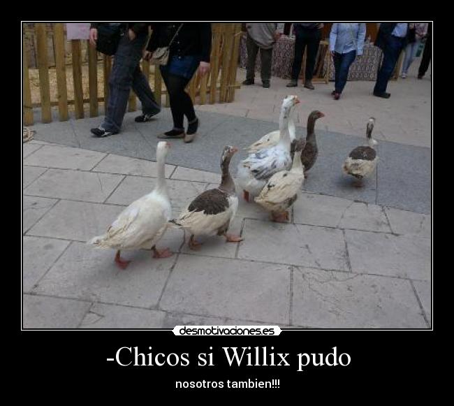 -Chicos si Willix pudo - nosotros tambien!!!