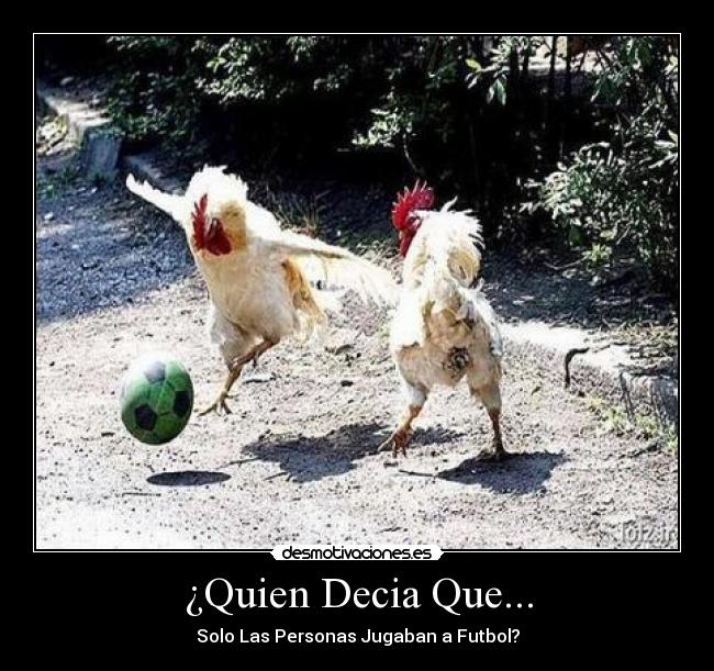 carteles 123 desmotivaciones