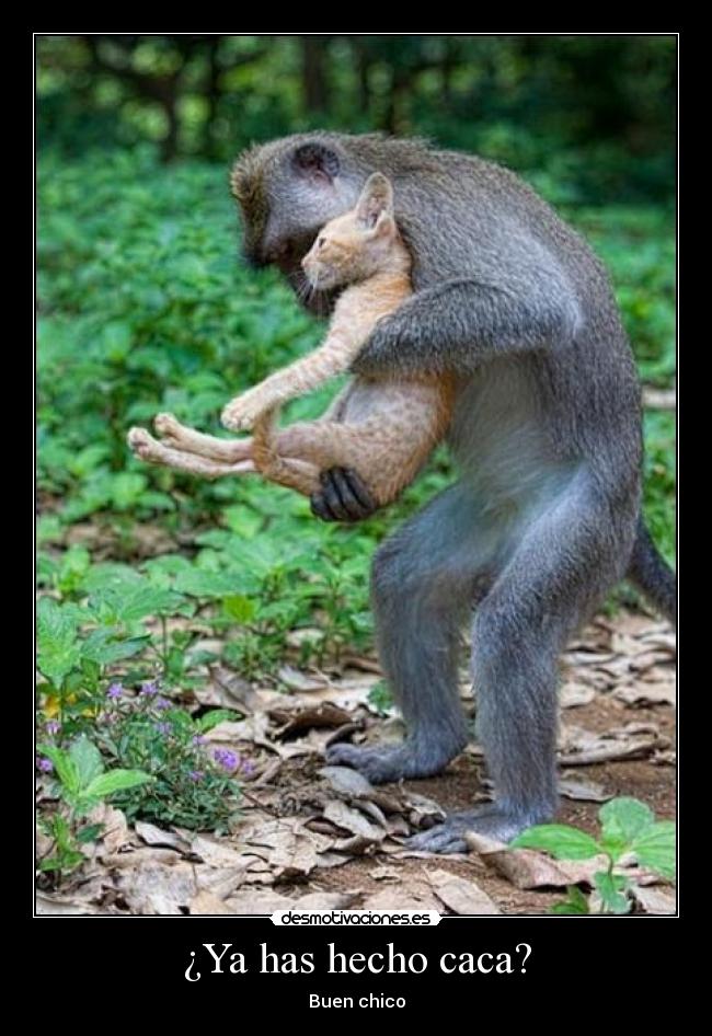 ¿Ya has hecho caca? -