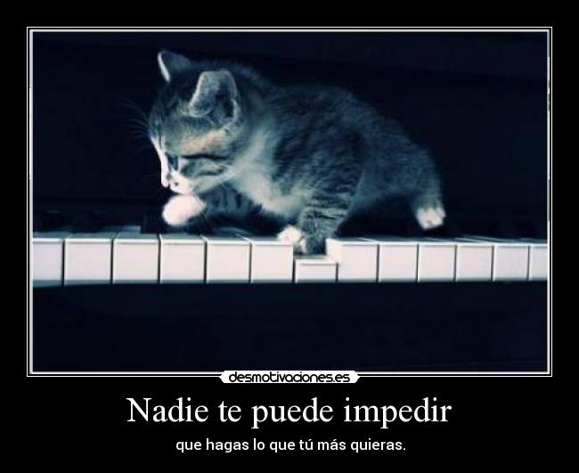Nadie te puede impedir -