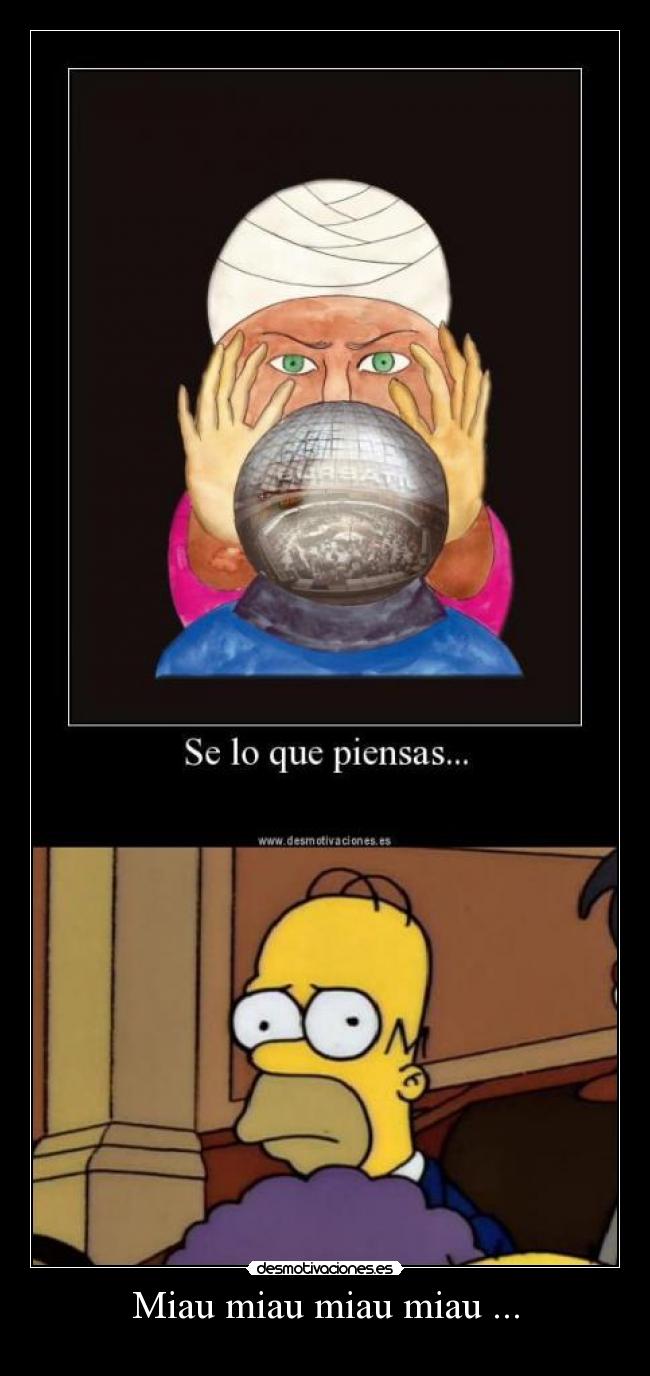 Miau miau miau miau ... -