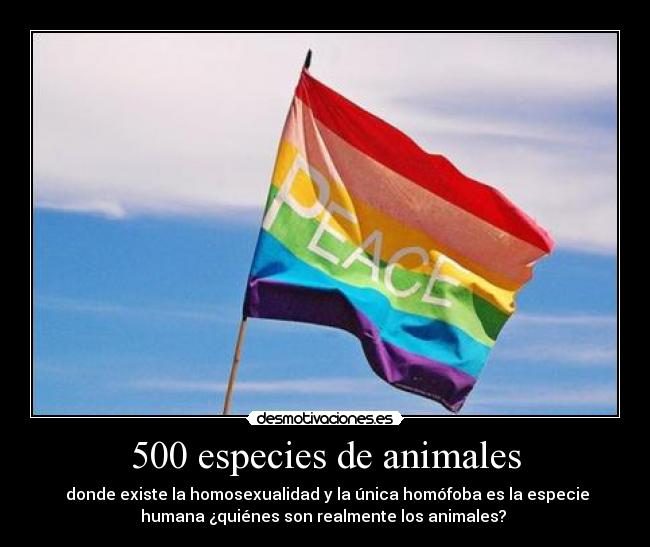 500 especies de animales - 